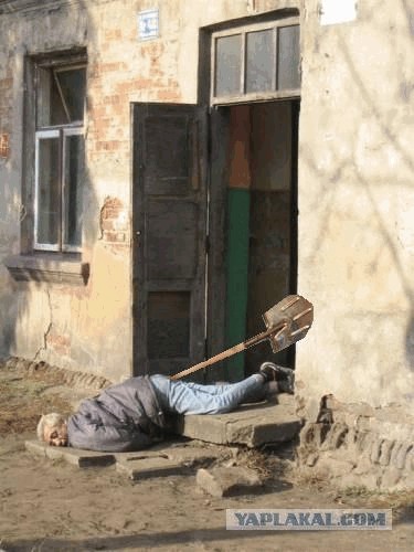 Фотожаба: Последний путь самурая