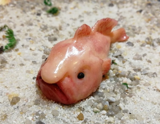 Краса морей