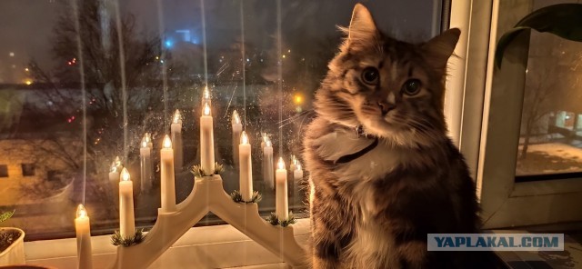Больше не бомж!