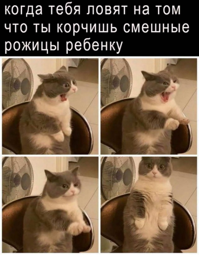 Картинки и мемы для настроения 017