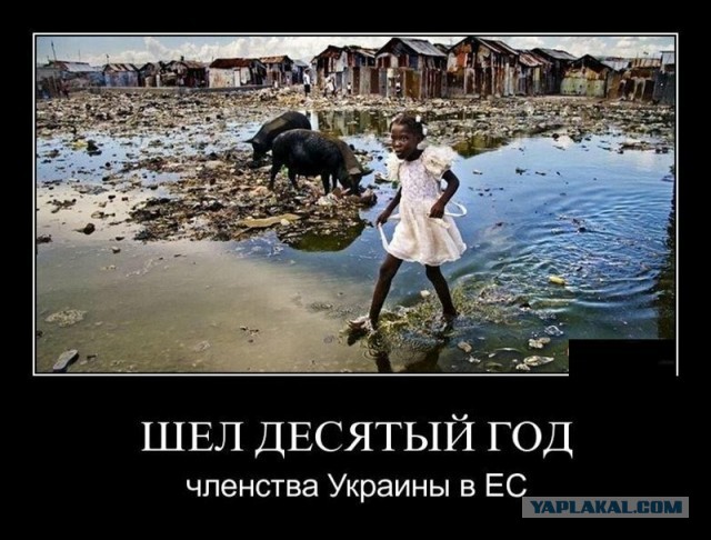 Президенты Украины, Польши, Латвии, Литвы и Эстонии подписали декларацию о сотрудничестве и демократических устремлениях