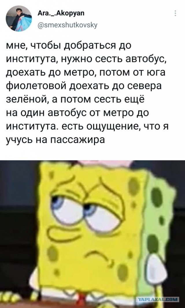 Свинегрет: картинки, надписи и прочее на 06,07.202 или №31