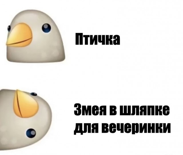 Чуток картинок 13.06.22