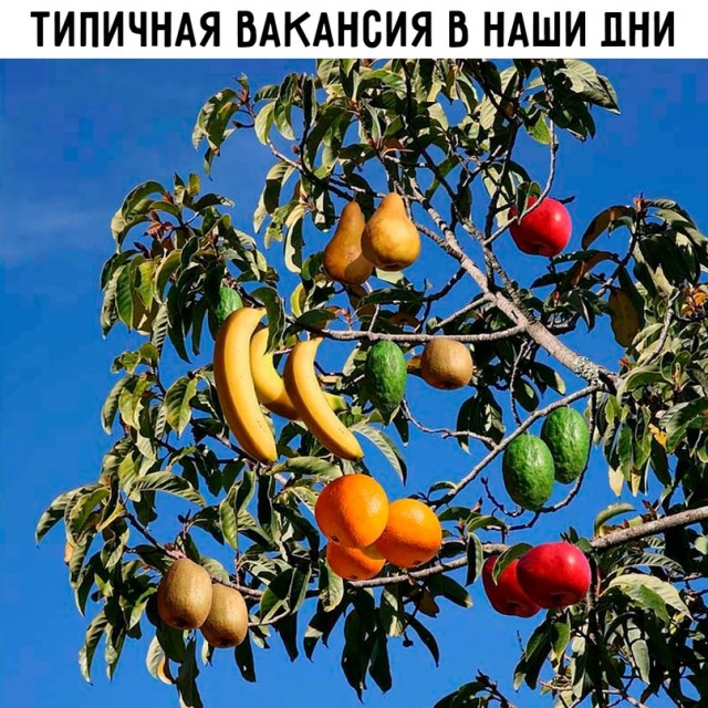 Картинки и мемы для настроения - 23