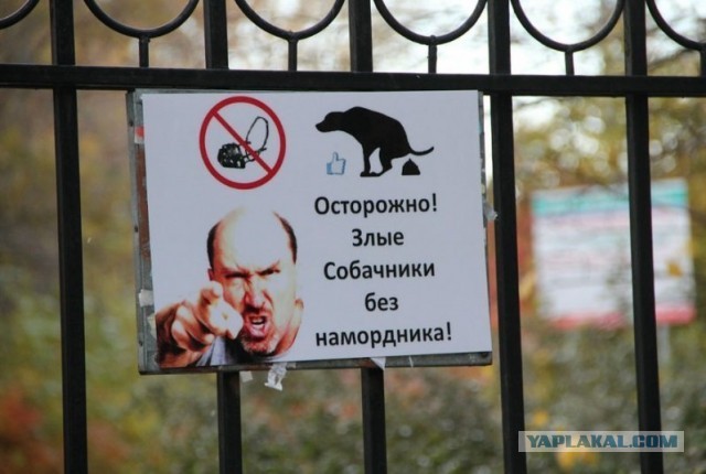 Отработанный удар ногой в лицо беззащитной женщине из Свердловской области прилетел за то, что она помогла разнять двух собак