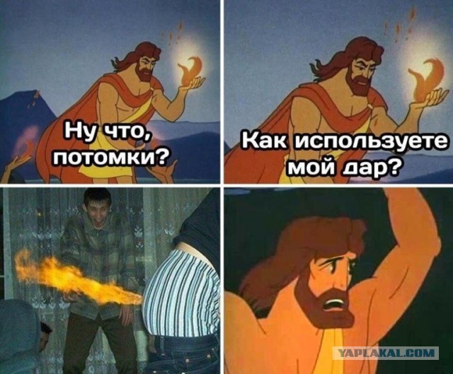 Священнослужитель насмерть объелся мухоморами в Подмосковье