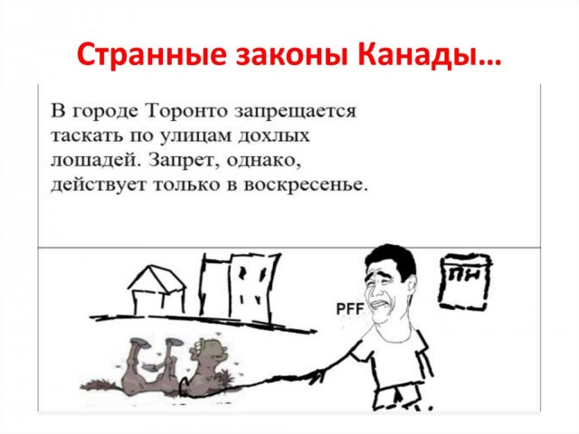 Госдума приняла в первом чтении пакет законопроектов о "пропаганде ЛГБТ"