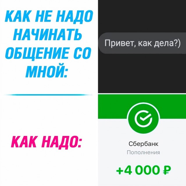 Весёлый полтишок 08.05.23