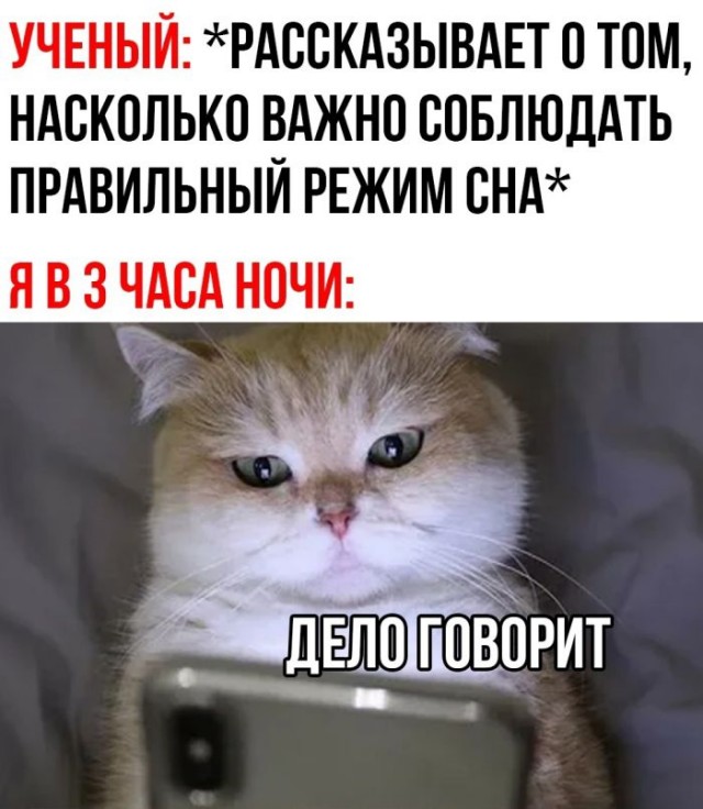 Картинки и мемы, всяко разно - 179