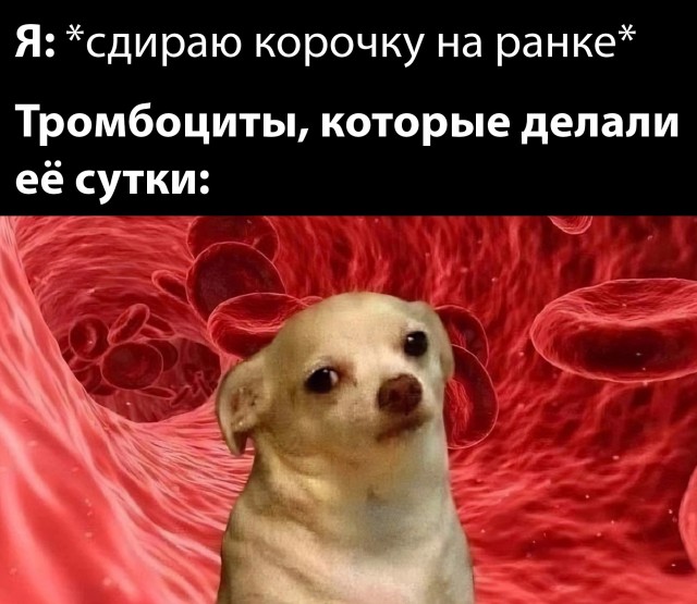 Картинки от Scodero - 6