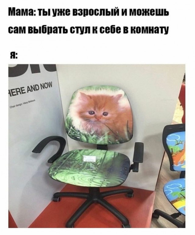 Котокартинки