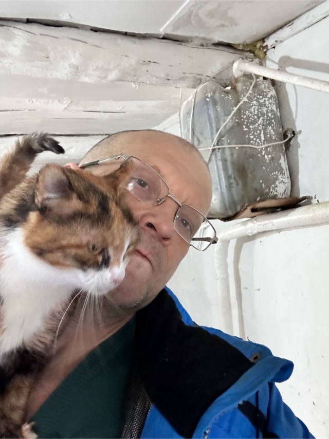 Кошачий приют