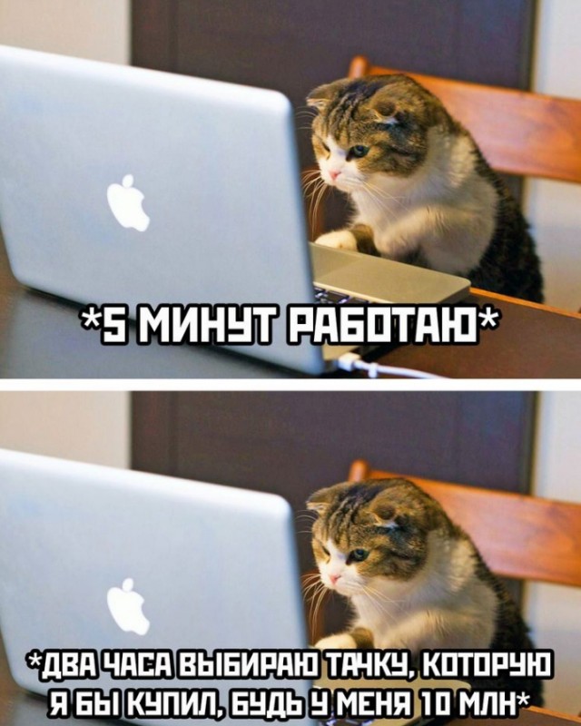 Веселые картинки к четвергу (03.10)