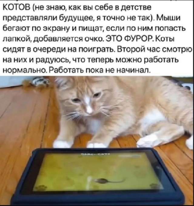 Картинки разные с надписями и без