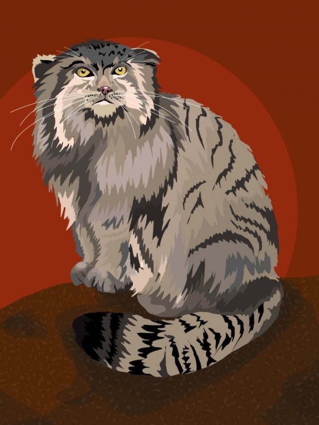 Манул