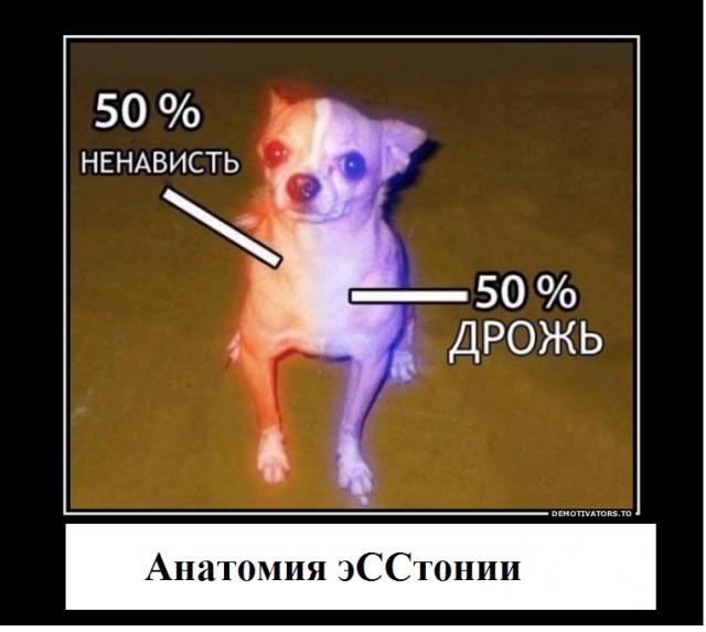 Эстонские пираты попытались снова разбушеваться