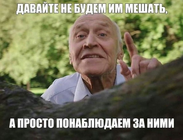 Прикольные и просто красивые картинки 23.05.2025
