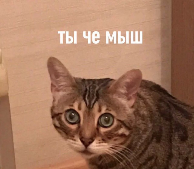 Самый опасный Инстинкт человека. Как управляет вами
