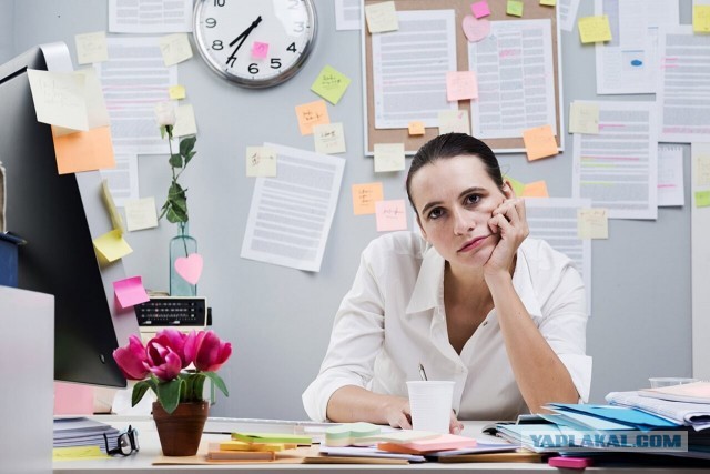 Обыкновенная мизандрия. Отношения мужчин и женщин в России