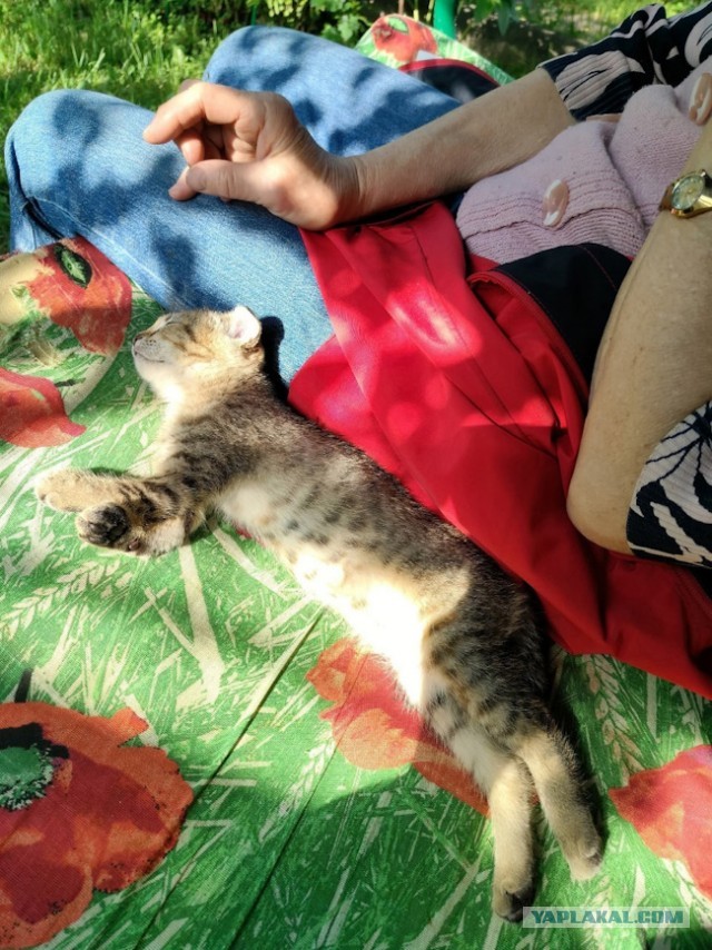Прошёл один год.