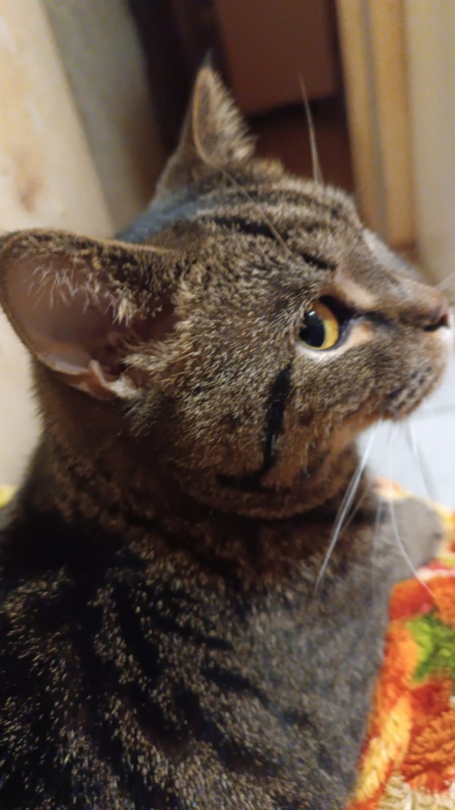 Экстрасенсы по вызову 6 ( археологи )