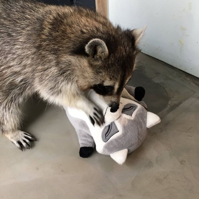 Немного картинок....