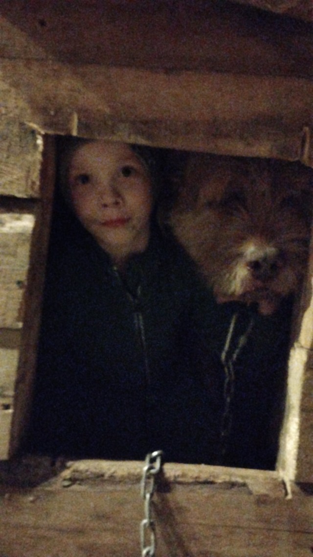 Это любовь
