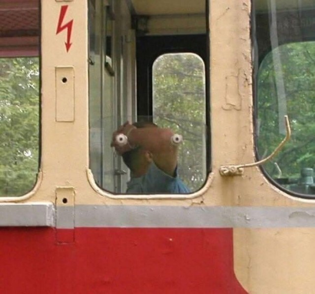 Показалось?