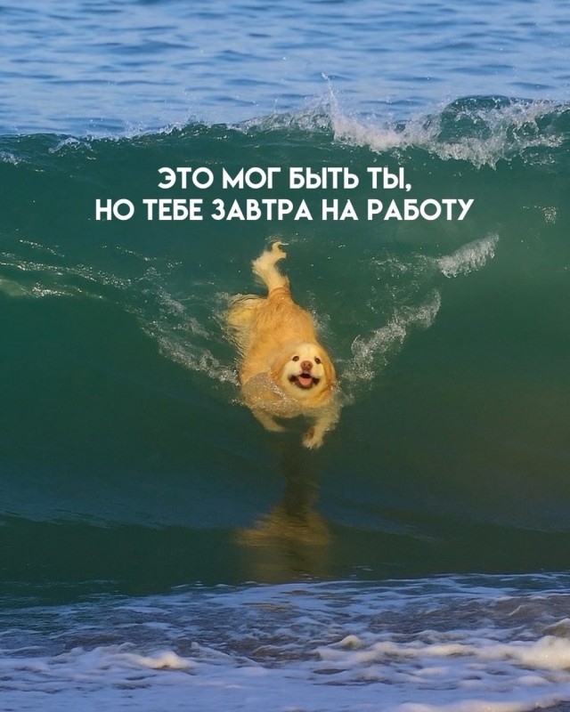 Понедельника картинки