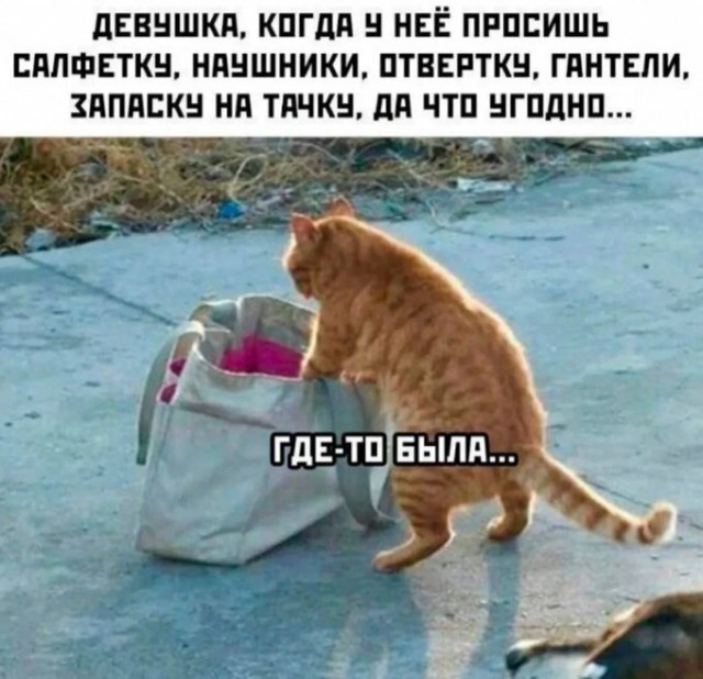 Немного картинок