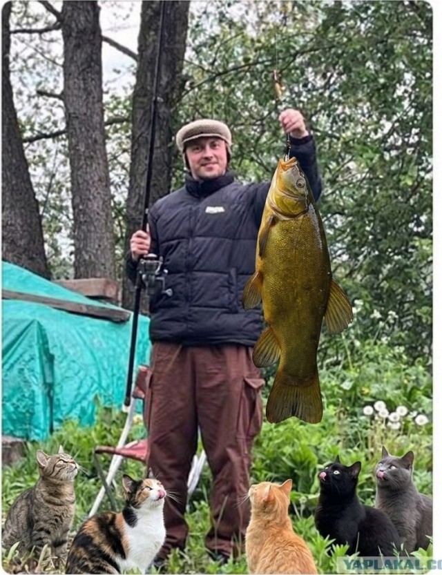 До каких размеров увеличивать?