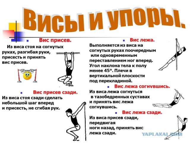 Как бороться с болью в спине после 50 (собственный опыт)