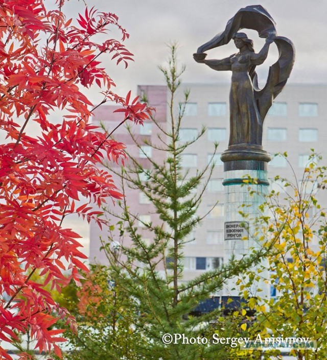 Красота! Лето на Ямале. Фото