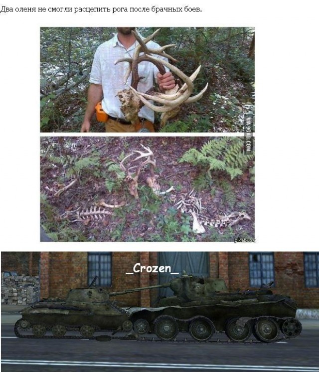 Wargaming 6