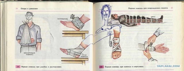 Разрисованные учебники (150 рисунков)