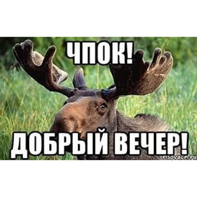 А это точно-точно поможет?