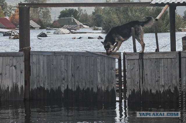 Всё, вода уходит! А вместе с нею печаль, разруха..