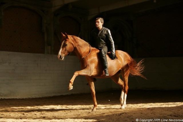 Скоро Год Лошади)))