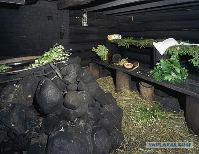 Черный волк