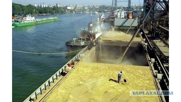 Из Мариуполя вывозят зерно