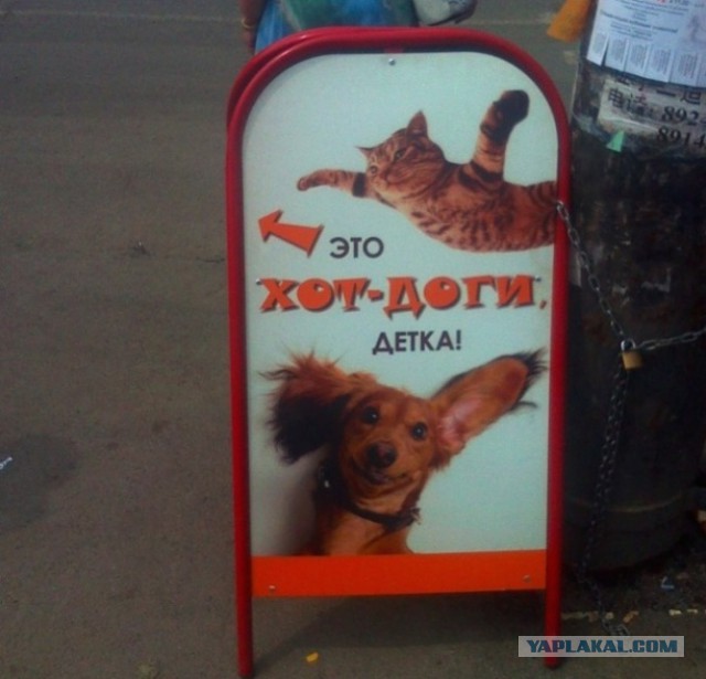 Маразмы месяца
