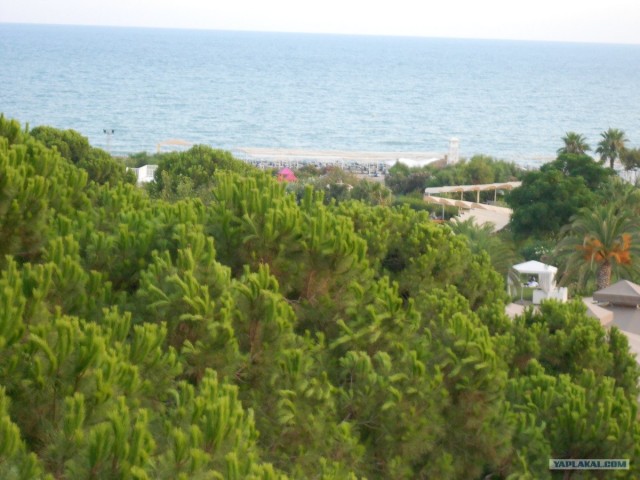 Покупай Российское — это легко!