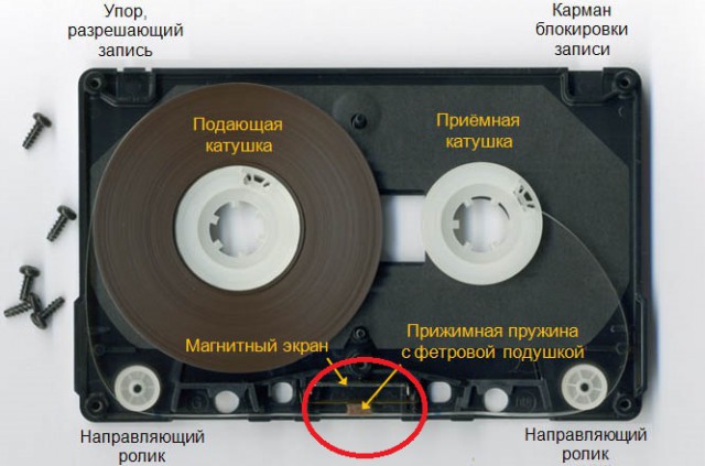 Школотаребус