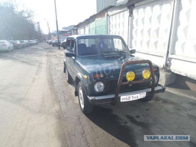 Нива или Волга?