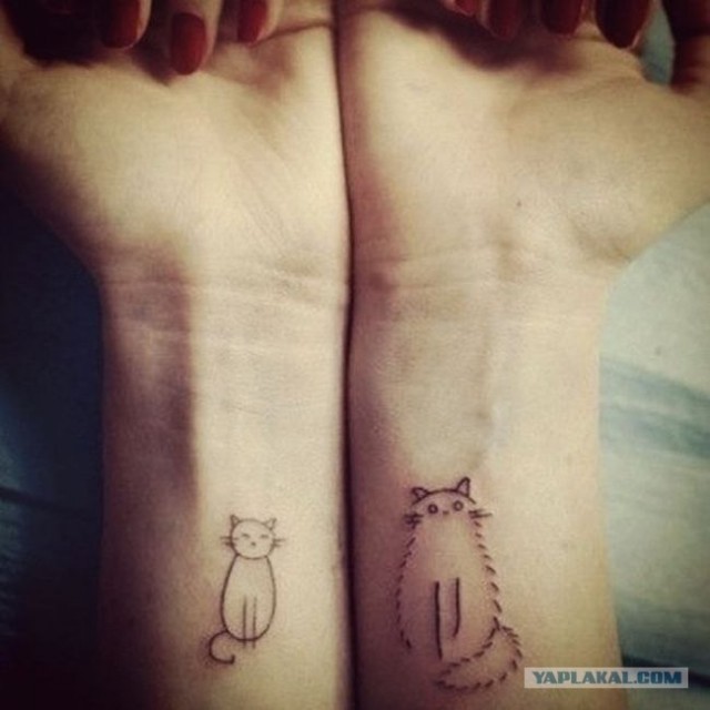 Наколи себе котэ!