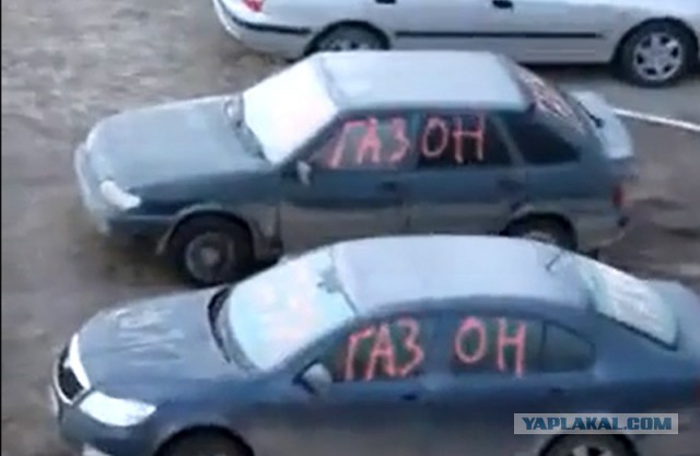 И зачем он это сделал? Очередной Гринписовец?