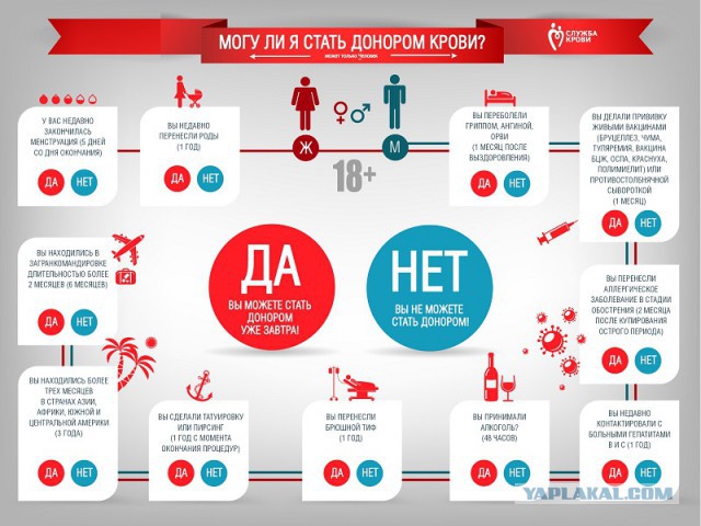 Стать донором крови - это легко!