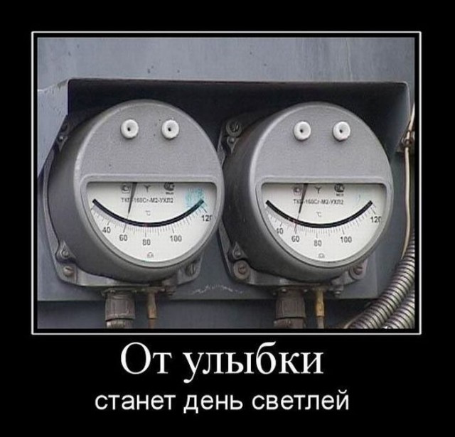 Они живые. Они смотрят на нас!