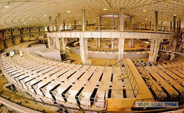 Самые популярные синхронистки мира