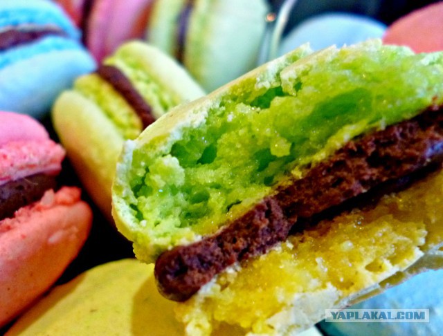 Макаруны домашние